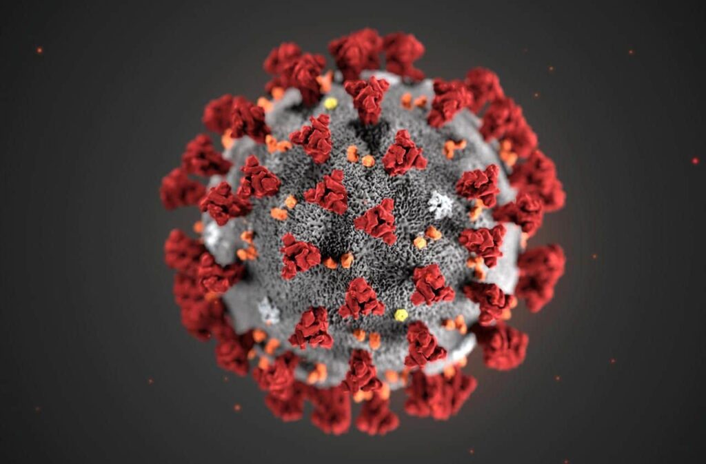 virus