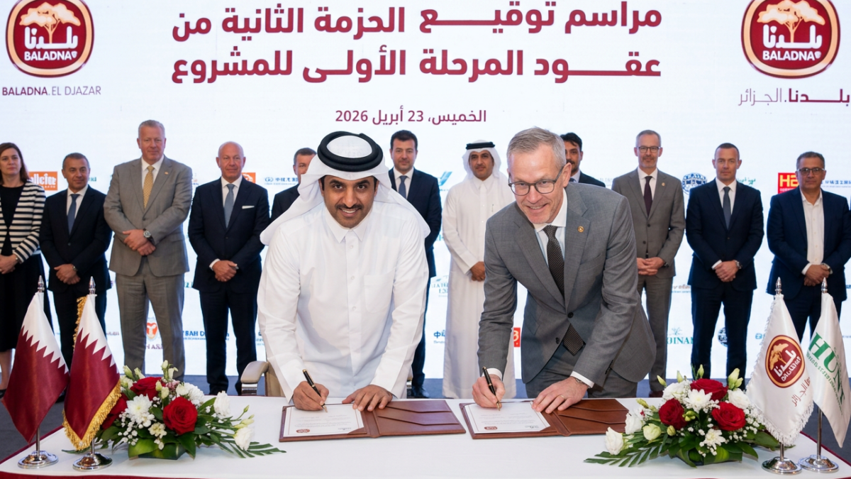 Baladna Algérie : comment le projet d’importation de 30.000 vaches depuis les États-Unis change d’échelle